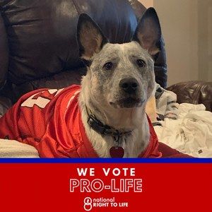 Meet your Posher, Greg